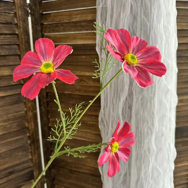 Fleurs artificielles de cosmos à 3 têtes pour mariage, décoration maison et photo