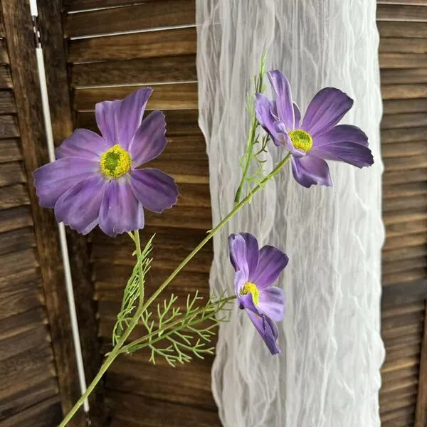 Fleurs artificielles de cosmos à 3 têtes pour mariage, décoration maison et photo