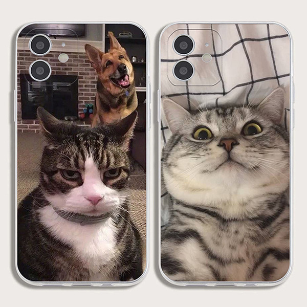 Coque iPhone chat transparente antichoc pour iPhone 6 à 12
