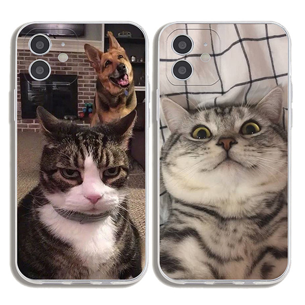 Coque iPhone chat transparente antichoc pour iPhone 6 à 12