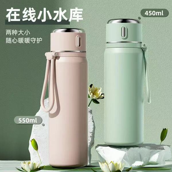 Gourde isotherme en acier inoxydable 316 avec infuseur à thé, 450/550 ml